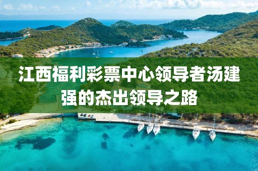 江西福利彩票中心领导者汤建强的杰出领导之路