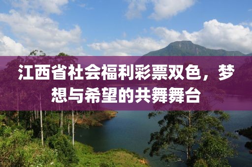 江西省社会福利彩票双色，梦想与希望的共舞舞台