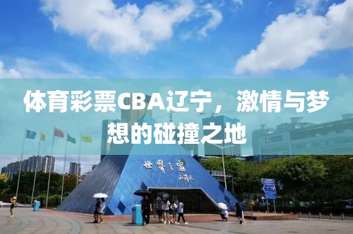 体育彩票CBA辽宁，激情与梦想的碰撞之地