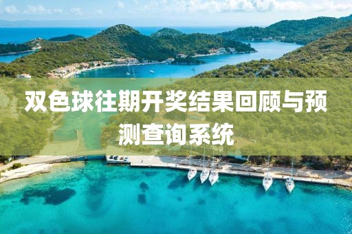 双色球往期开奖结果回顾与预测查询系统