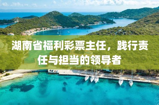 湖南省福利彩票主任，践行责任与担当的领导者