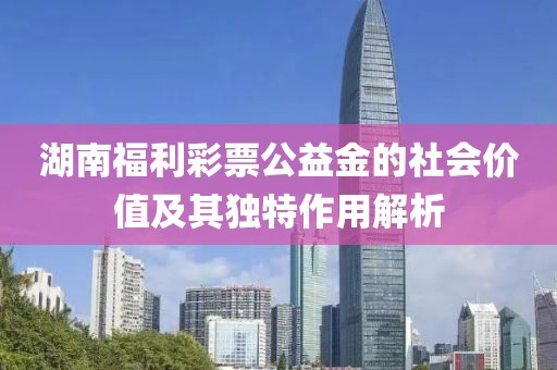 湖南福利彩票公益金的社会价值及其独特作用解析