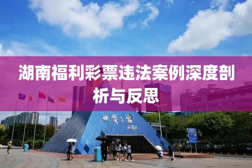 湖南福利彩票违法案例深度剖析与反思