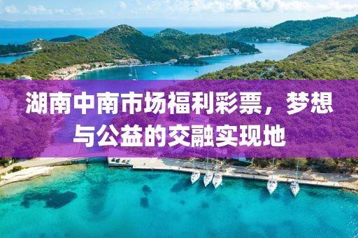 湖南中南市场福利彩票，梦想与公益的交融实现地