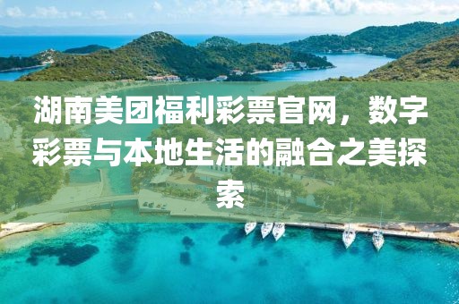 湖南美团福利彩票官网，数字彩票与本地生活的融合之美探索