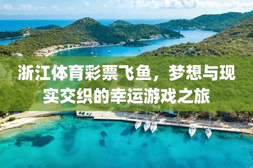 浙江体育彩票飞鱼，梦想与现实交织的幸运游戏之旅