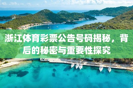 浙江体育彩票公告号码揭秘，背后的秘密与重要性探究