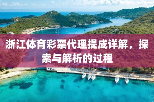 浙江体育彩票代理提成详解，探索与解析的过程