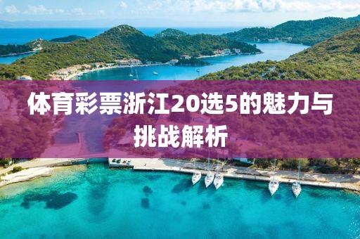 体育彩票浙江20选5的魅力与挑战解析