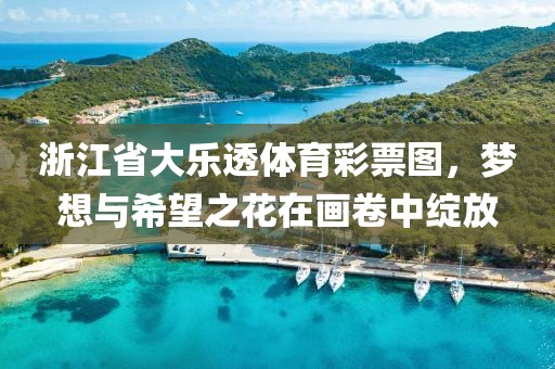 浙江省大乐透体育彩票图，梦想与希望之花在画卷中绽放