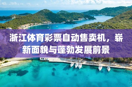 浙江体育彩票自动售卖机，崭新面貌与蓬勃发展前景