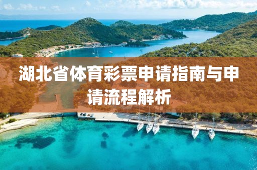 湖北省体育彩票申请指南与申请流程解析