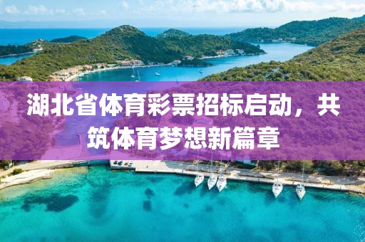 湖北省体育彩票招标启动，共筑体育梦想新篇章