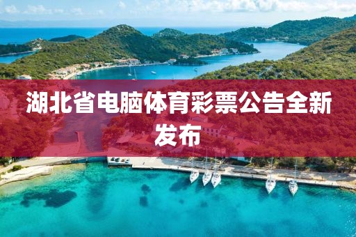 湖北省电脑体育彩票公告全新发布