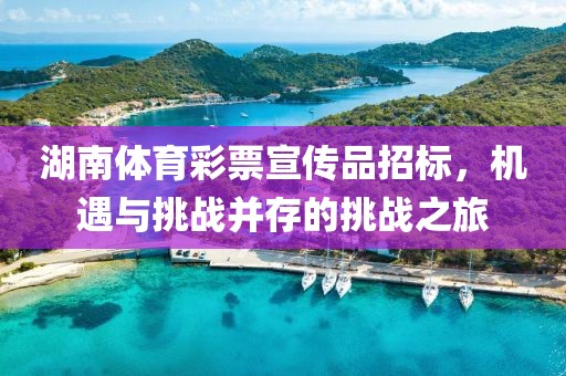 湖南体育彩票宣传品招标，机遇与挑战并存的挑战之旅