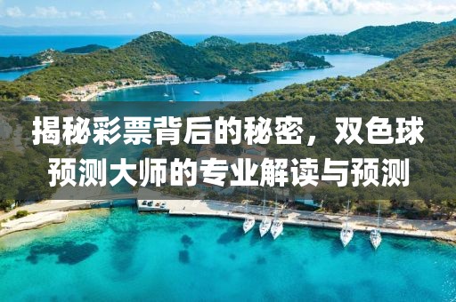 揭秘彩票背后的秘密，双色球预测大师的专业解读与预测